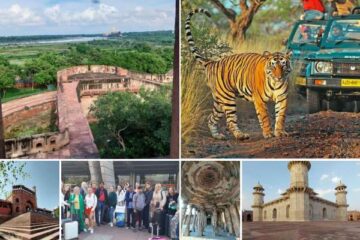 Golden Triangle Tour With Ranthambore